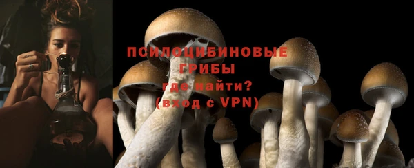 гидра Беломорск