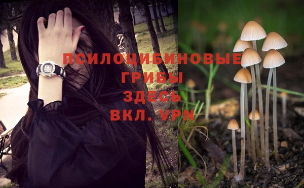 кокаин VHQ Белокуриха