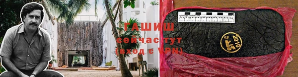 стафф Ростов