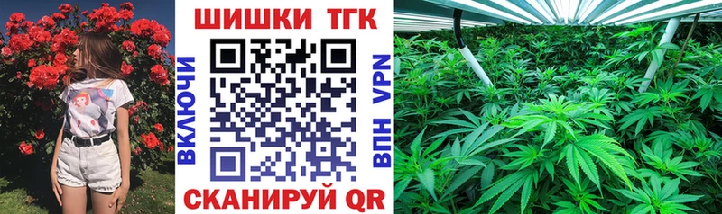 Бошки марихуана THC 21%  купить  цена  Ершов 